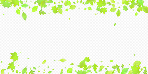 Leaves Falling Spring Flying Foliage Green Leaf