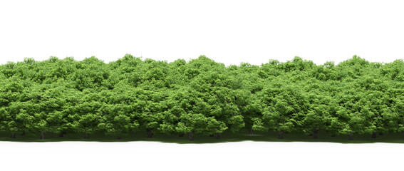 forest line with shadows under the trees, isolated on white background, 3D illustration, cg render