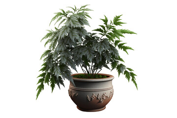 Plants in a pot. Generative AI