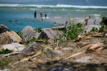 beach and sea