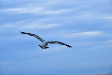 Circling the coast of Hokkaido