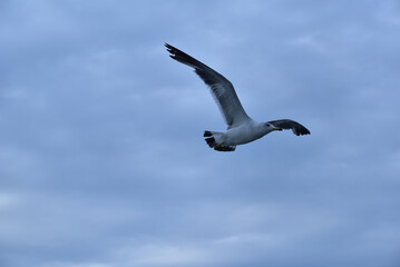 Circling the coast of Hokkaido
