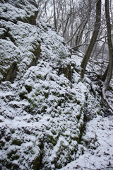 Light dusting of snow on a large rock on a winter day in the Palatinate Forest of Germany.
