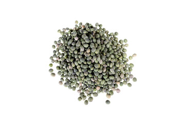 blue soy bean 