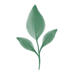 Leaf watercolor