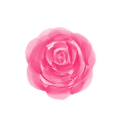 Rose watercolor