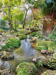 Garden in Japanese Style