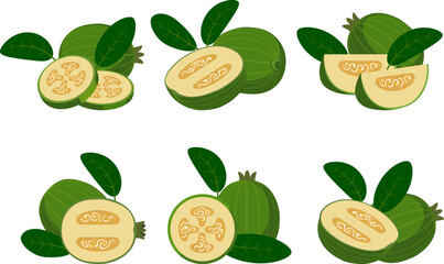 Green feijoa cartoon set