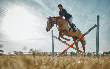Training, jump and woman on a horse for a course, event or show on a field in Norway. Equestrian, jumping and girl doing a horseback riding obstacle during a jockey race, hobby or sport in nature - obrazy, fototapety, plakaty
