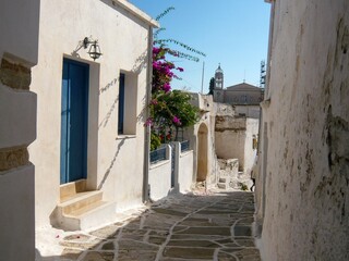typical alley in street center village of Noirmoutier island in vendee west coast french - obrazy, fototapety, plakaty
