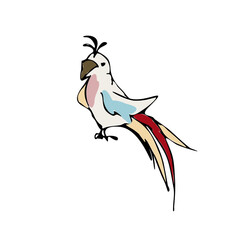 Marine coloring doodle with different nautical elements.
pirate parrot
