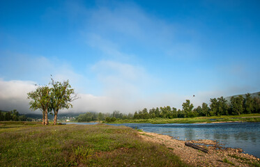 mystical forest in fog, mountain river and fantastic landscape