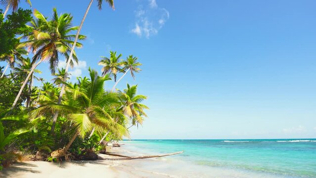 Island tropical beach with palm trees. Turquoise ocean against a blue sky with clouds on a sunny summer day. Palm trees leaned over the water. Perfect scenery for a relaxing holiday, Maldives island.