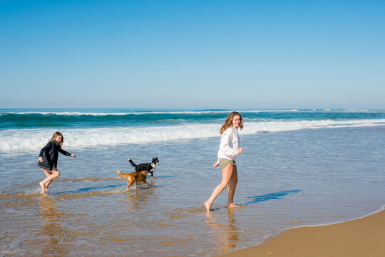 Young woman and a young girl walking and running barefoot along the edge of the beach with their puppies