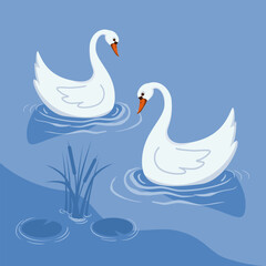 Two white swans on the blue lake. Flat design. Animal illustration.