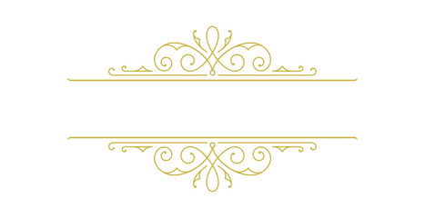 Vintage ornament swirl text divider filigree calligraphic vector illustration. Classical flourishes separator for text decoration.