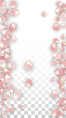 Pink Vector Realistic Petals Falling on Transparent Background.  Spring Romantic Flowers Illustration. Flying Petals. Sakura Spa Design. Blossom Confetti. Design Elements for Wedding Decoration.