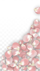 Pink Vector Realistic Petals Falling on Transparent Background.  Spring Romantic Flowers Illustration. Flying Petals. Sakura Spa Design. Blossom Confetti. Design Elements for Wedding Decoration.
