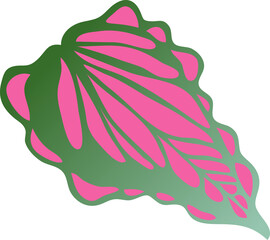 Colorful tropical leaf