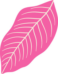 Colorful tropical leaf