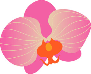 Colorful tropical flower