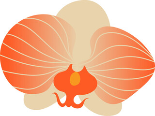 Colorful tropical flower