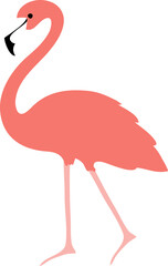 Tropical Flamingo
