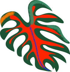 Colorful tropical leaf