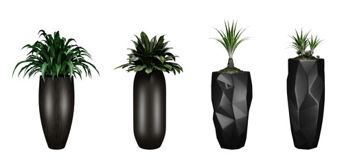 Plants in pots isolated, 3d render illustration.