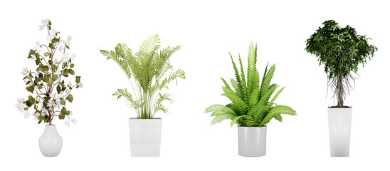 Plants in a pot on transparent background, set of 3d interior & exterior design, 3d render illustration.