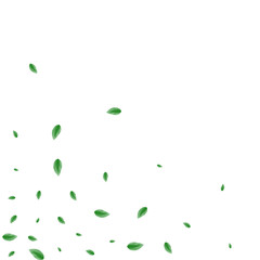 Greenish Sheet Background White Vector. Leaf Garden Illustration. Template Frame. Green Concept Texture. Foliage Silhouette.