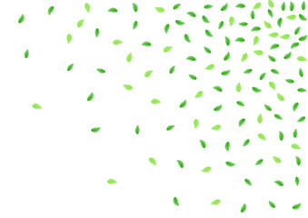 Light Green Plant Background White Vector. Sheet Life Frame. Banner Card. Greenish Herbarium Illustration. Greenery Creative.