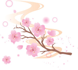 春　桜　背景