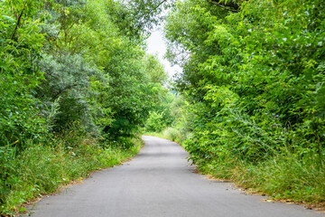 Beautiful empty asphalt road in countryside on colored background