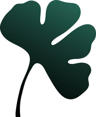 Luxury tropical ginkgo leaf 