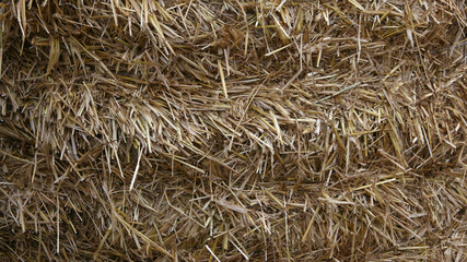 Straw texture background