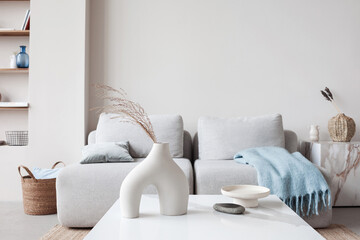 View of modern scandinavian style interior with sofa and trendy vase, Home staging and minimalism...