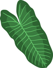 Tropical leaf vector