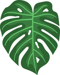 Tropical leaf vector