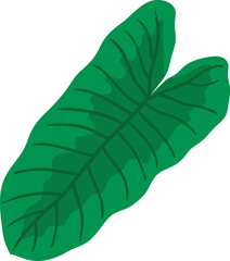Tropical leaf vector