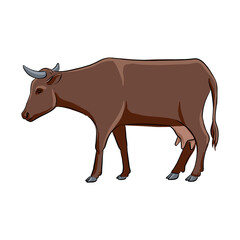 vector drawing cow, sketch of domestic animal, hand drawn illuastration , isolated nature design element