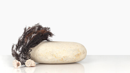 Podium for organic or eco cosmetic products. Natural stone, seaweed plant and shells on a white background, front view, copy space. Empty showcase for product presentation. © Flena_13
