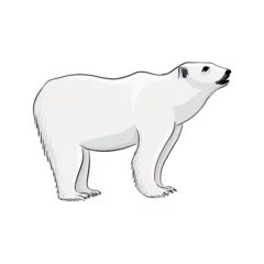 Foto op Canvas vector drawing sketch of animal, hand drawn polar bear, isolated nature design element © cat_arch_angel