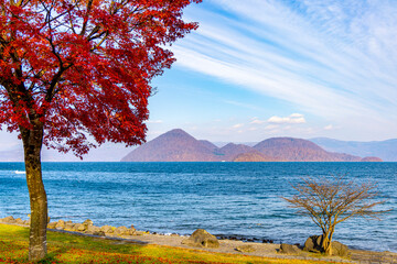 洞爺湖畔の紅葉（北海道洞爺湖町）