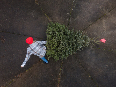 Mature woman disposing Christmas tree