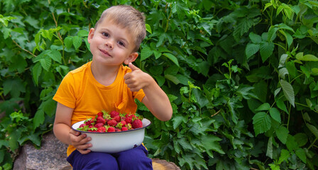 farm-fresh strawberries in a bowl.