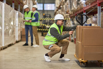 Side view portrait of female worker scanning codes on boxes ready for shipping in storage warehouse, copy space