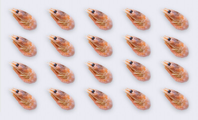 Obraz premium Shrimp collage on white background, nautical theme