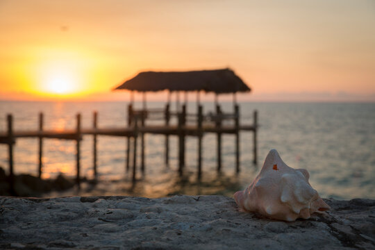 Conch shell and pier on beach at sunset, Nassau, Bahamas