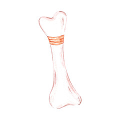 Watercolor magical bone for potion. Isolated on white background. Scrapbook, post card, banner, lable.